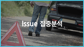 Issue ���ߺм�